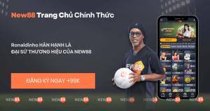 bài đánh giá về new88
